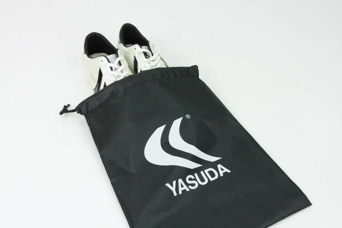 Shoe Bag