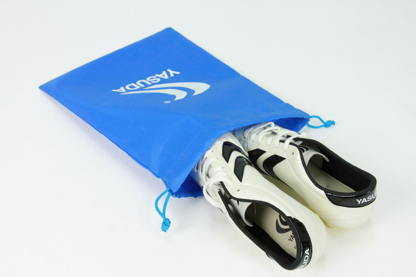 Shoe Bag